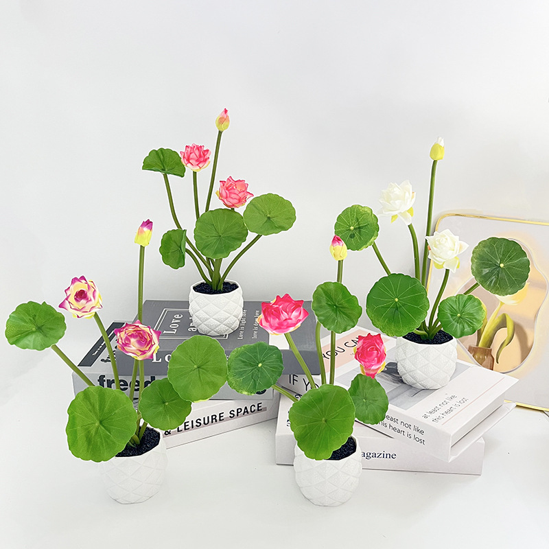Mini Simulation Lotus Potted P - Photography Simulator recension och pris