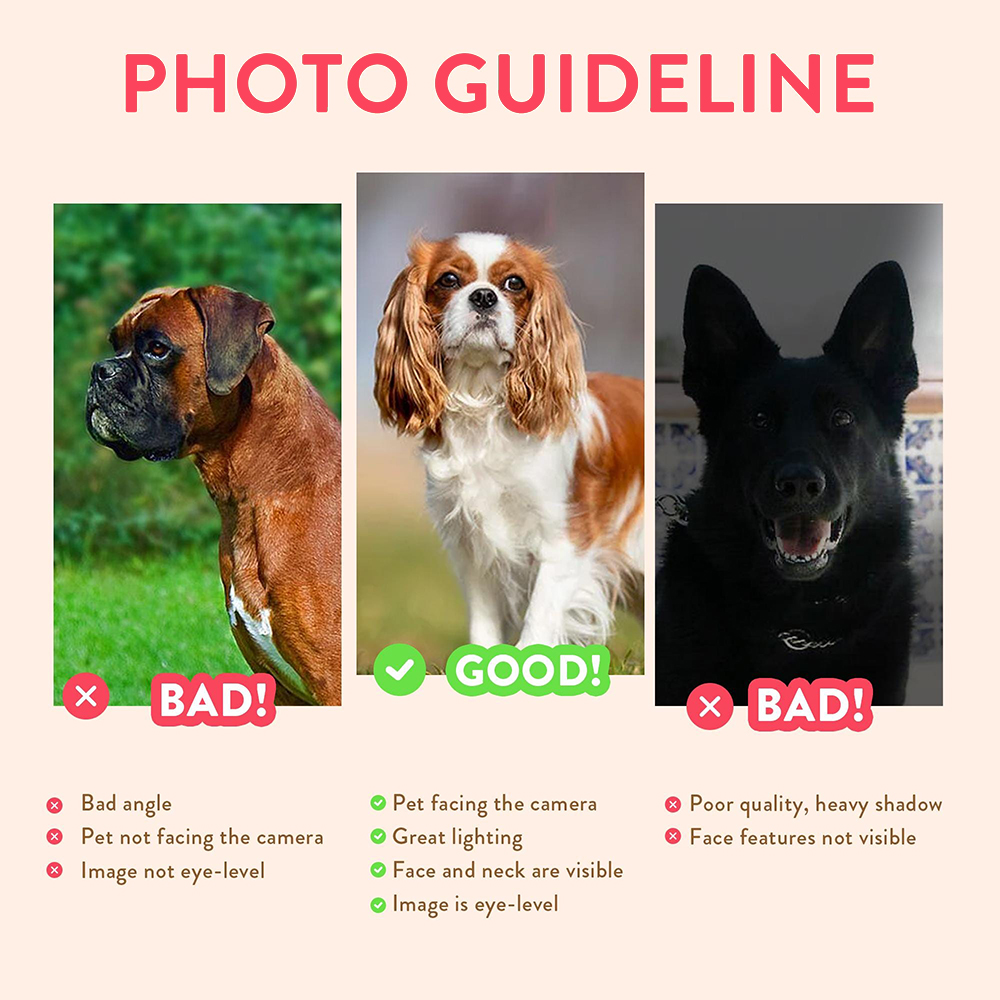 Personalized Pet Portraits Pho - Photographic Memory recension och pris