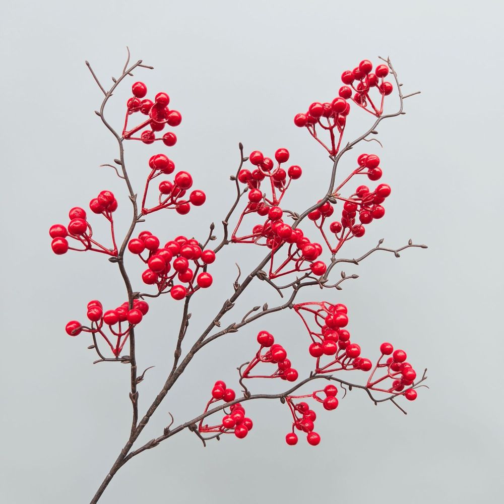 Decorative Simulation Berry Br - Photography Simulator recension och pris